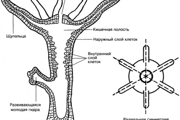 Кракен ссылка зайти