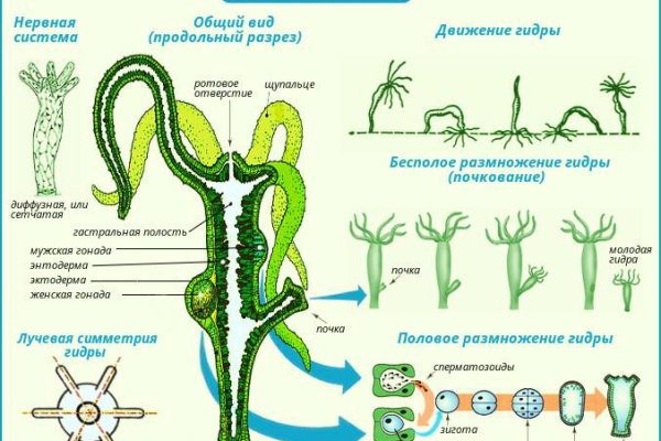 Кракен ссылка kraken