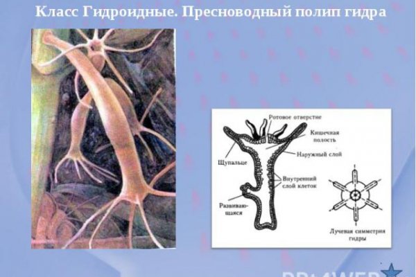 Рабочие ссылки и зеркала кракен