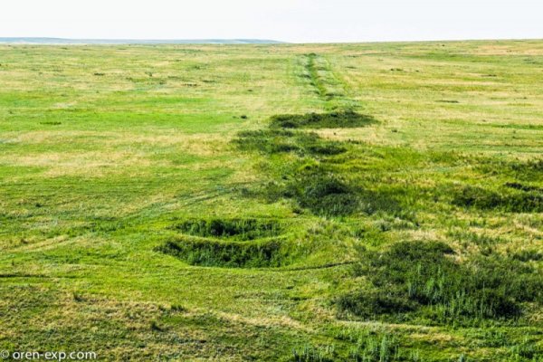 Пользователь не найден кракен даркнет