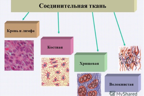 Официальная тор ссылка кракен сайта